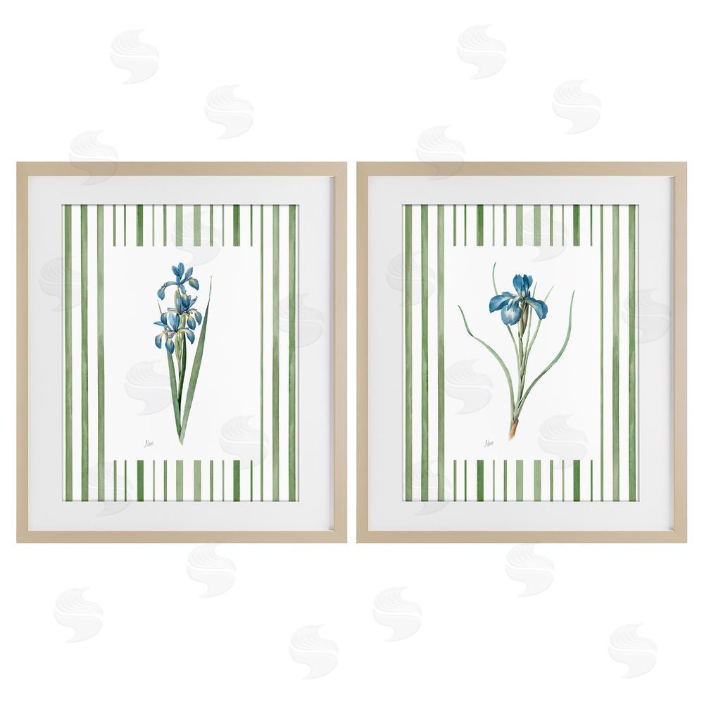 Nan Irises And Stripes Birch Framed Print Under Glass Wall Art