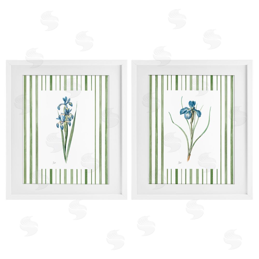 Nan Irises And Stripes White Framed Print Under Glass Wall Art