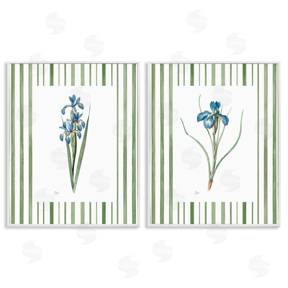 Nan Irises And Stripes White Framed Giclee Wall Art Print