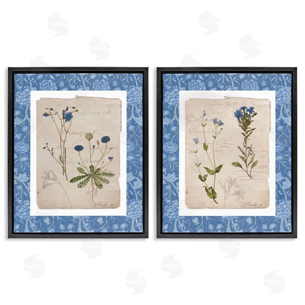 Livi Finn Blue Botanical Herbs Black Floating Frame Canvas Wall Art Print