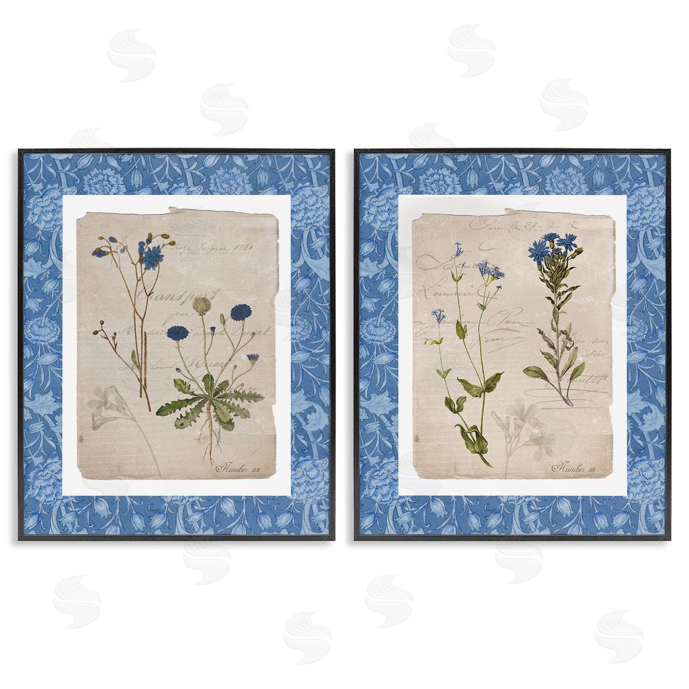 Livi Finn Blue Botanical Herbs Black Framed Giclee Wall Art Print