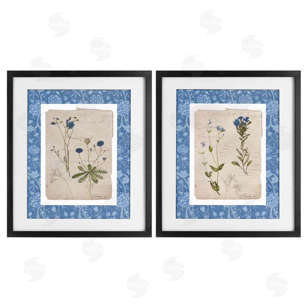 Livi Finn Blue Botanical Herbs Black Framed Print Under Glass Wall Art