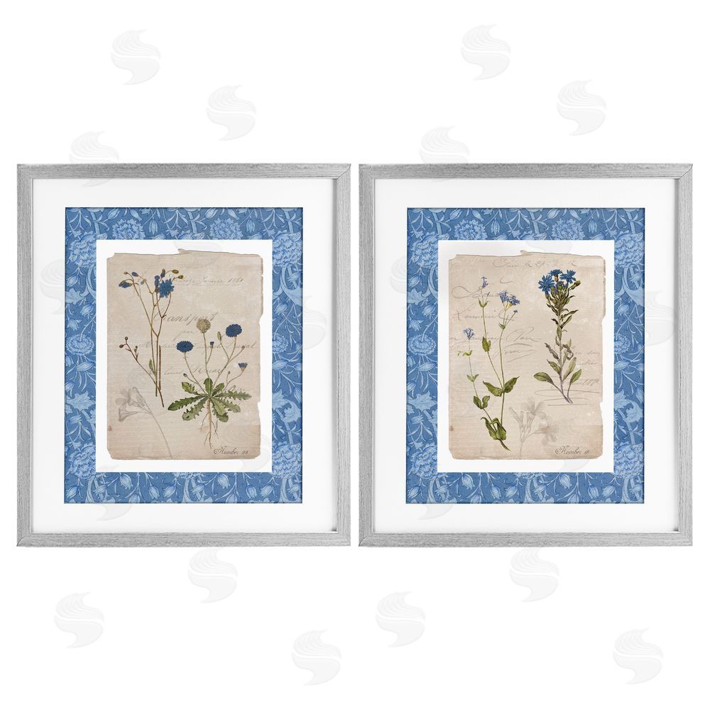 Livi Finn Blue Botanical Herbs Gray Framed Print Under Glass Wall Art
