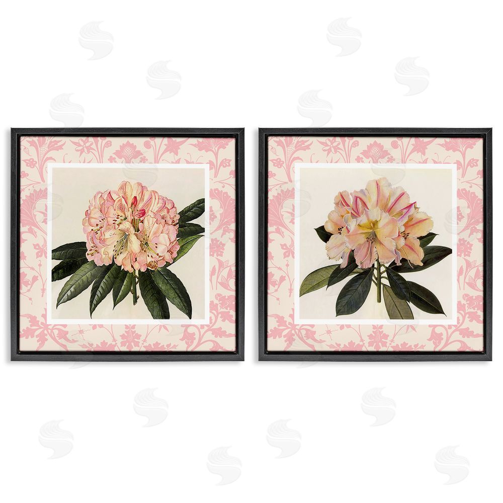 Livi Finn Pink Vintage Pattern Botanicals Black Floating Frame Canvas Wall Art Print