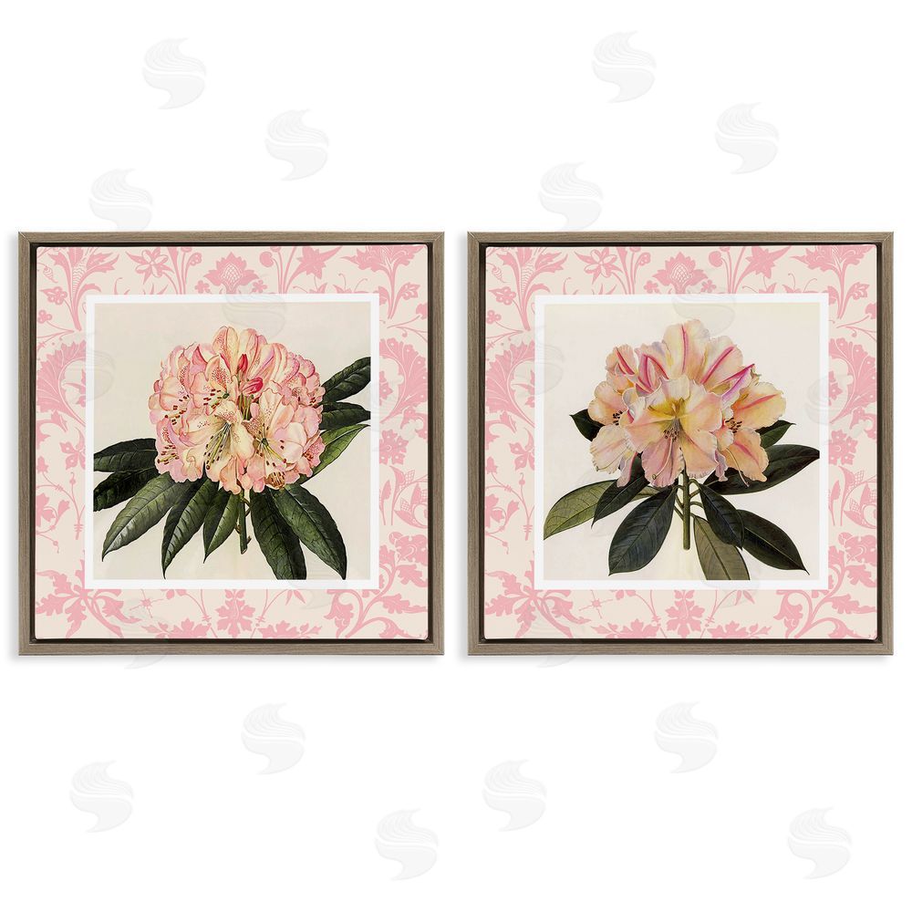 Livi Finn Pink Vintage Pattern Botanicals Brown Floating Frame Canvas Wall Art Print