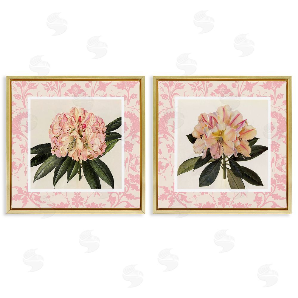 Livi Finn Pink Vintage Pattern Botanicals Gold Floating Frame Canvas Wall Art Print