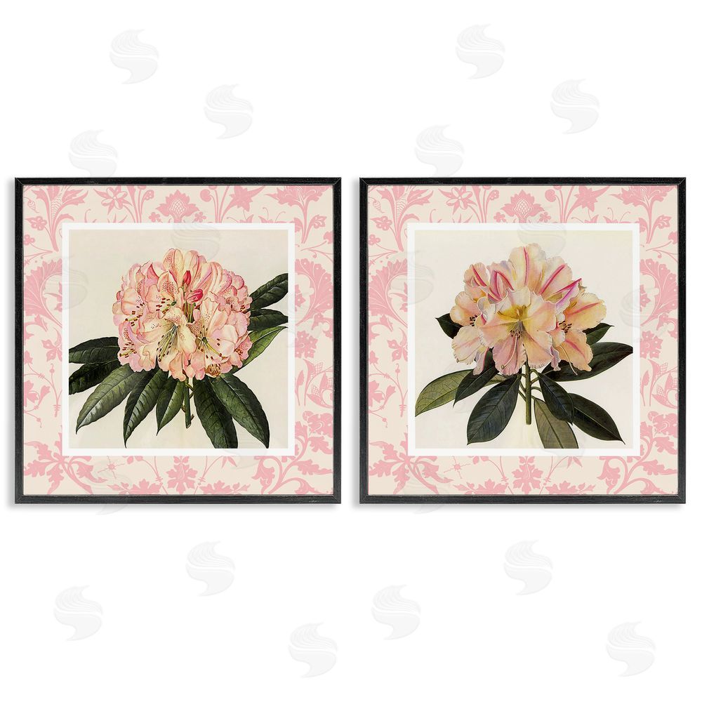 Livi Finn Pink Vintage Pattern Botanicals Black Framed Giclee Wall Art Print