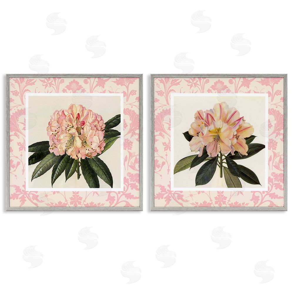 Livi Finn Pink Vintage Pattern Botanicals Gray Framed Giclee Wall Art Print