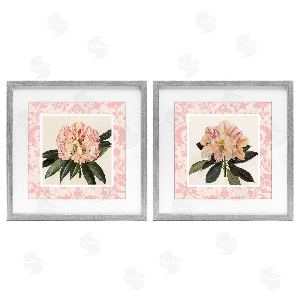 Livi Finn Pink Vintage Pattern Botanicals Gray Framed Print Under Glass Wall Art