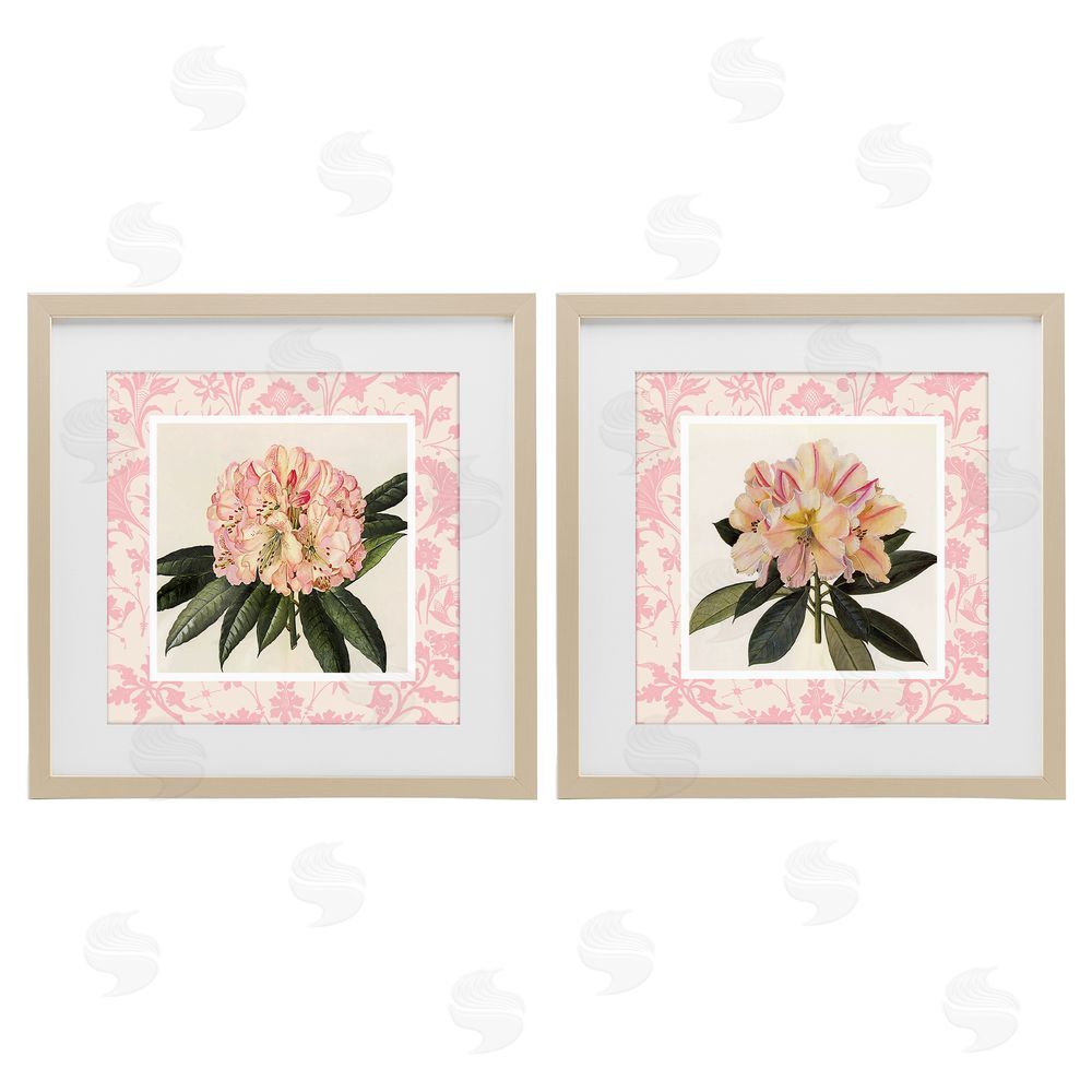 Livi Finn Pink Vintage Pattern Botanicals Birch Framed Print Under Glass Wall Art