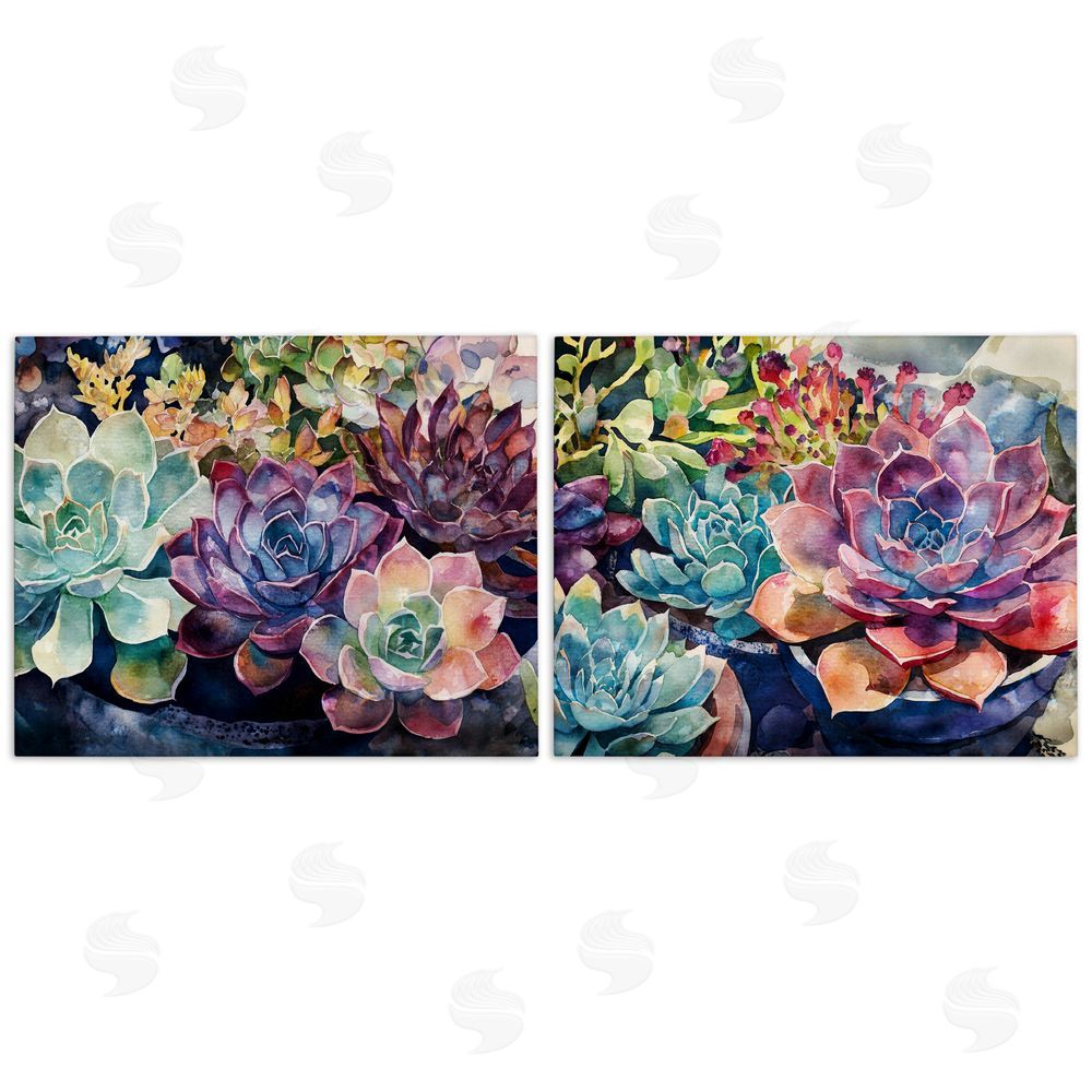 Svetlana Aleynikova Sunny Watercolor Succulents Stretched Canvas Wall Art Print
