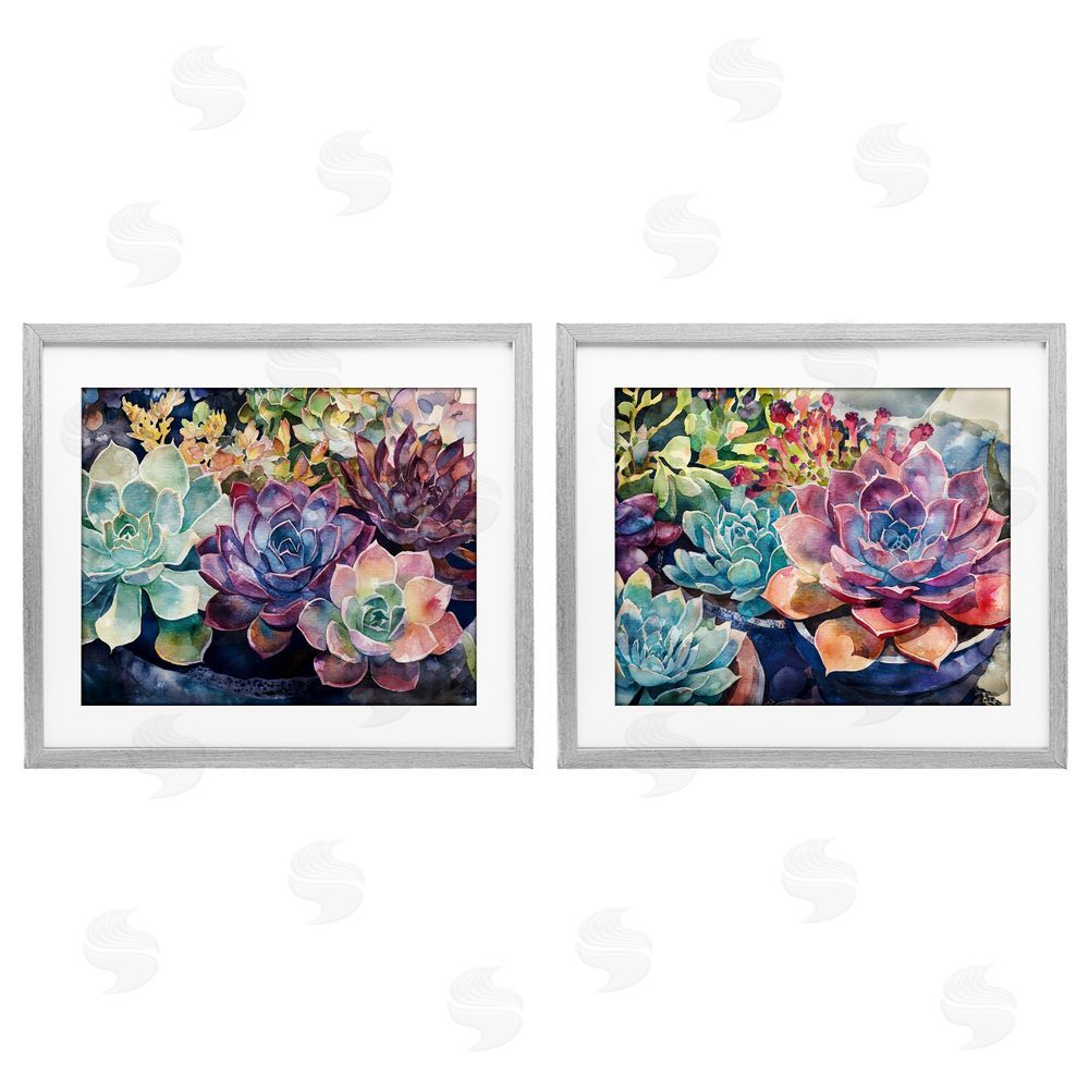 Svetlana Aleynikova Sunny Watercolor Succulents Gray Framed Print Under Glass Wall Art