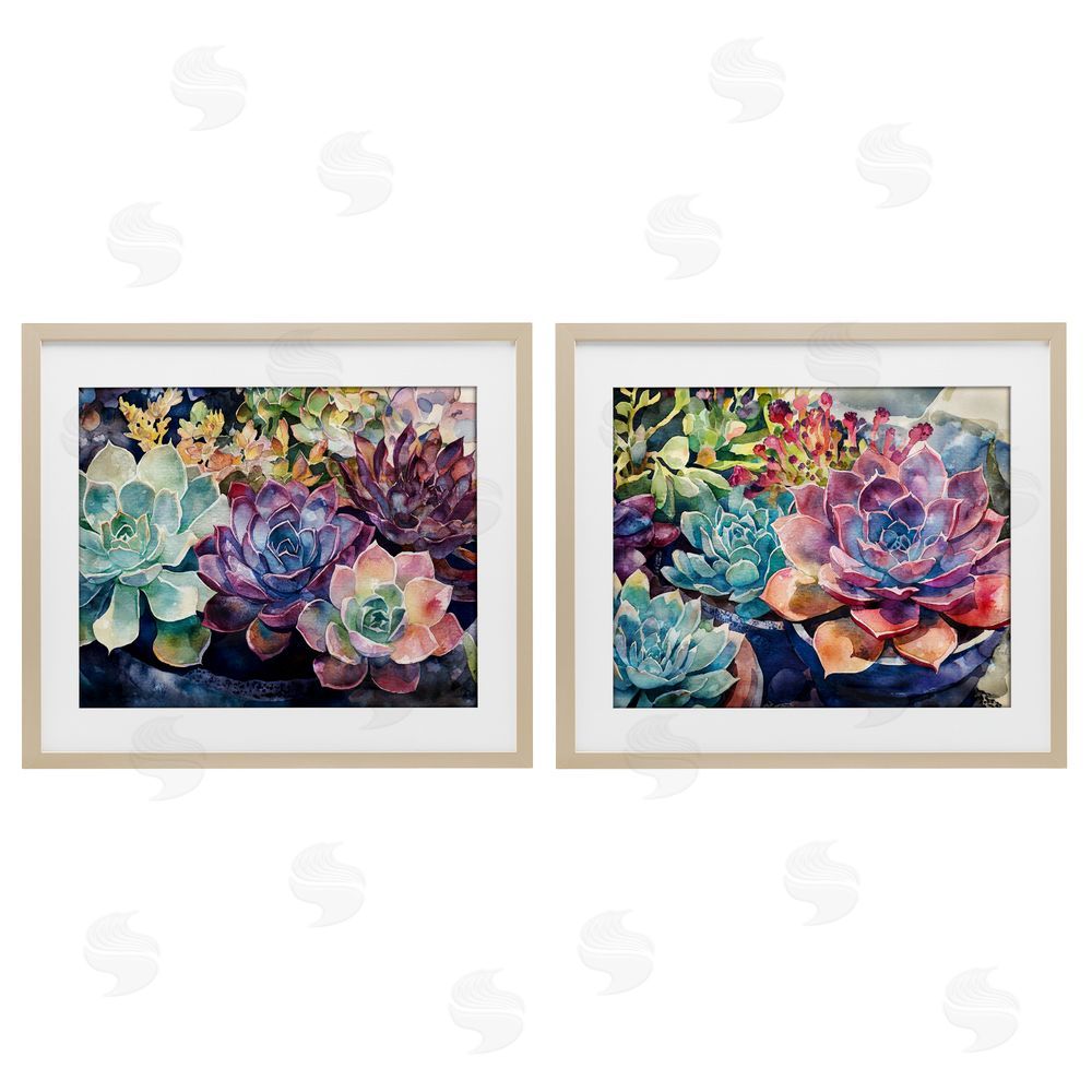 Svetlana Aleynikova Sunny Watercolor Succulents Birch Framed Print Under Glass Wall Art
