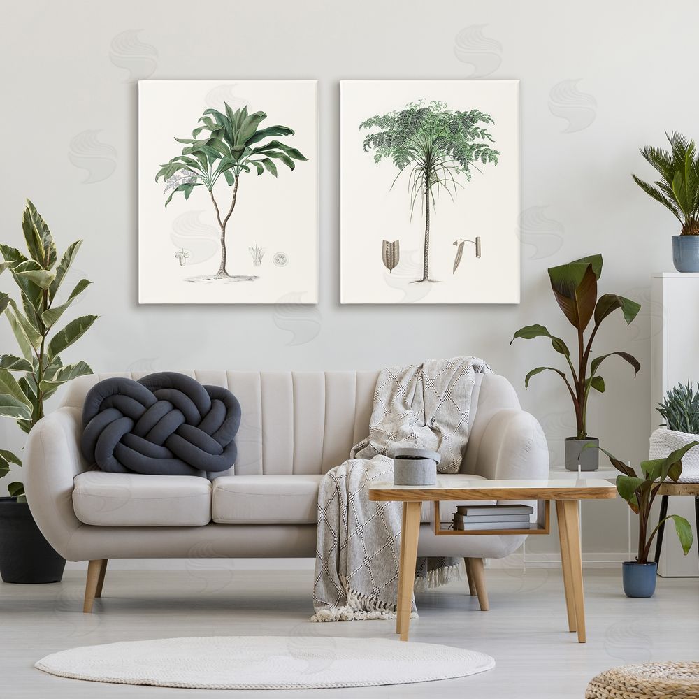 Val Rhodes Two Types of Palms Stretched Canvas Wall Art in Room