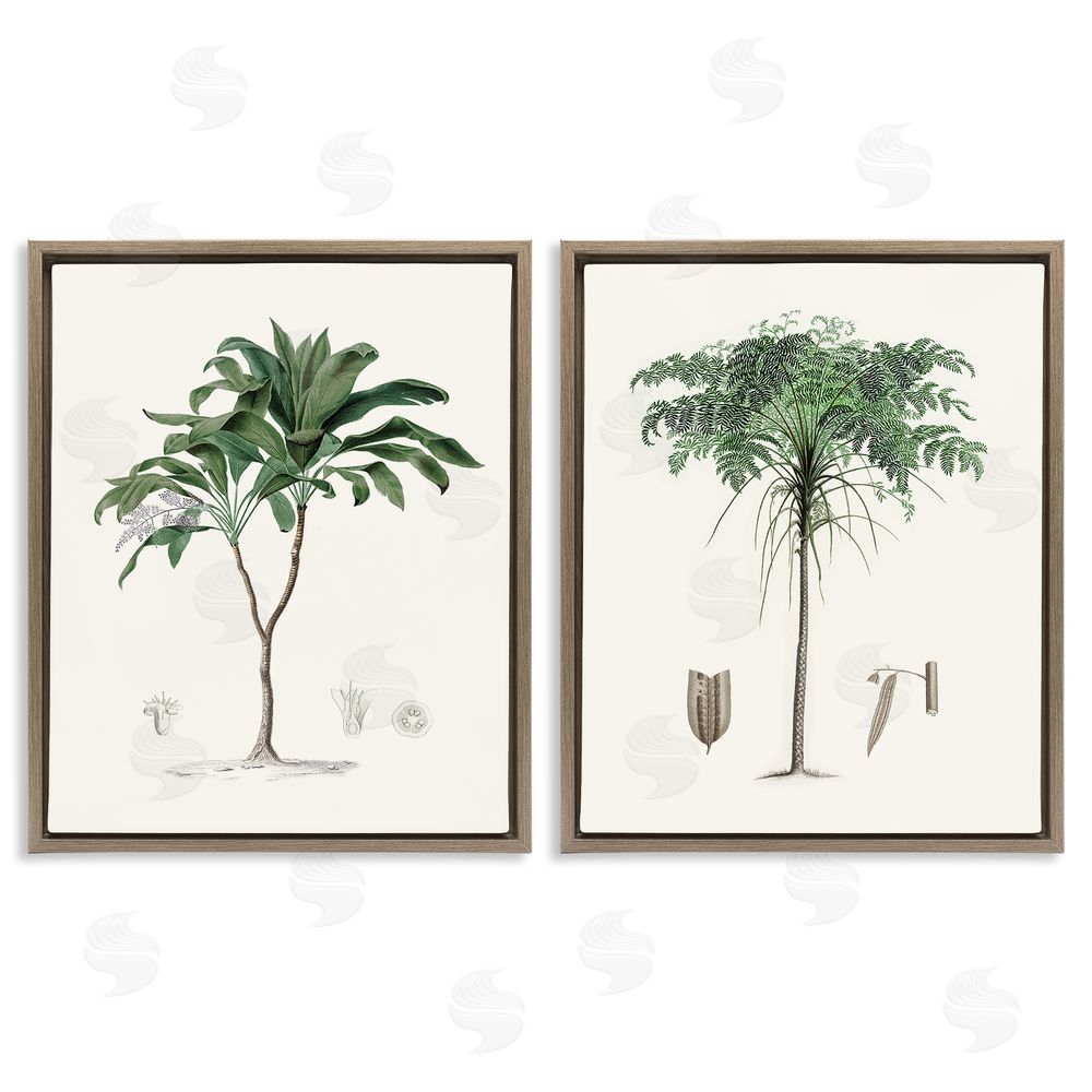 Val Rhodes Two Types of Palms Brown Floating Frame Canvas Wall Art Print