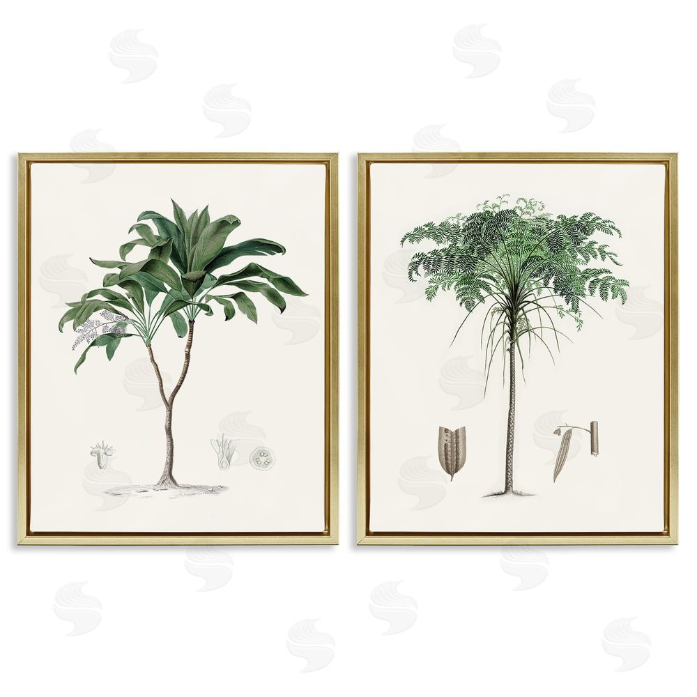 Val Rhodes Two Types of Palms Gold Floating Frame Canvas Wall Art Print