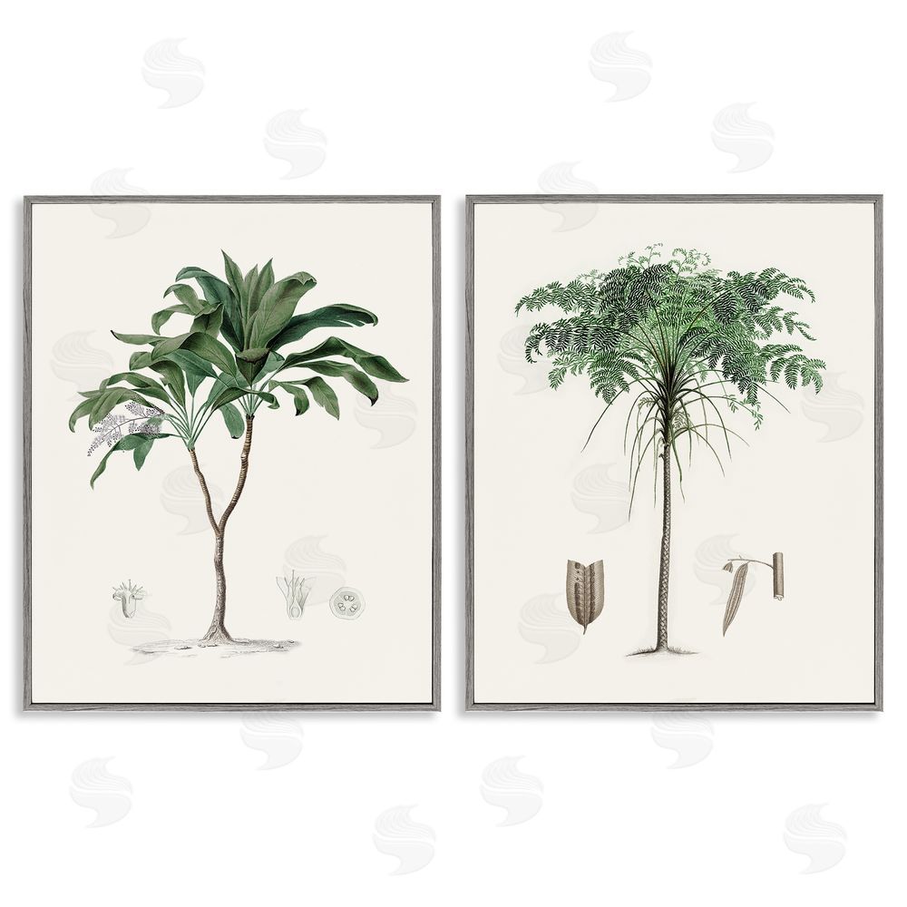 Val Rhodes Two Types of Palms Gray Framed Giclee Wall Art Print