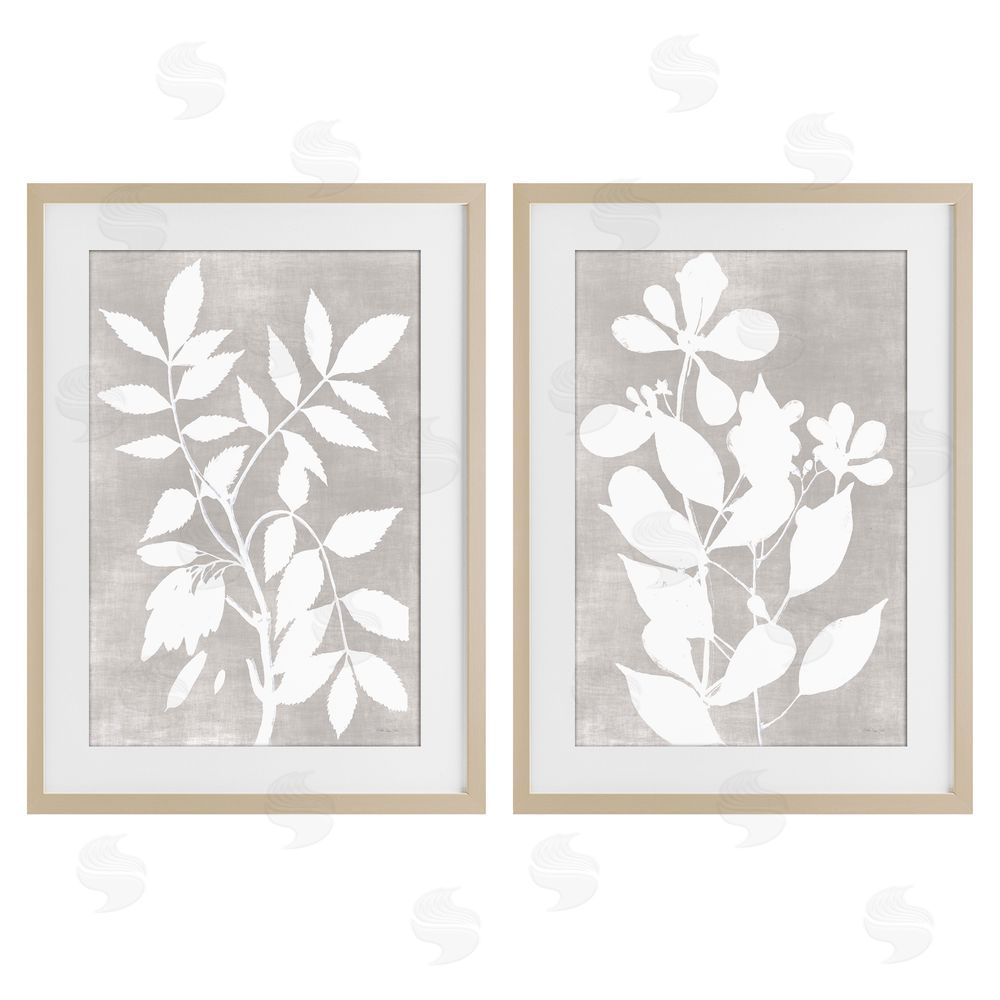 Stellar Design Studio Grey Foliage Impression Birch Framed Print Under Glass Wall Art