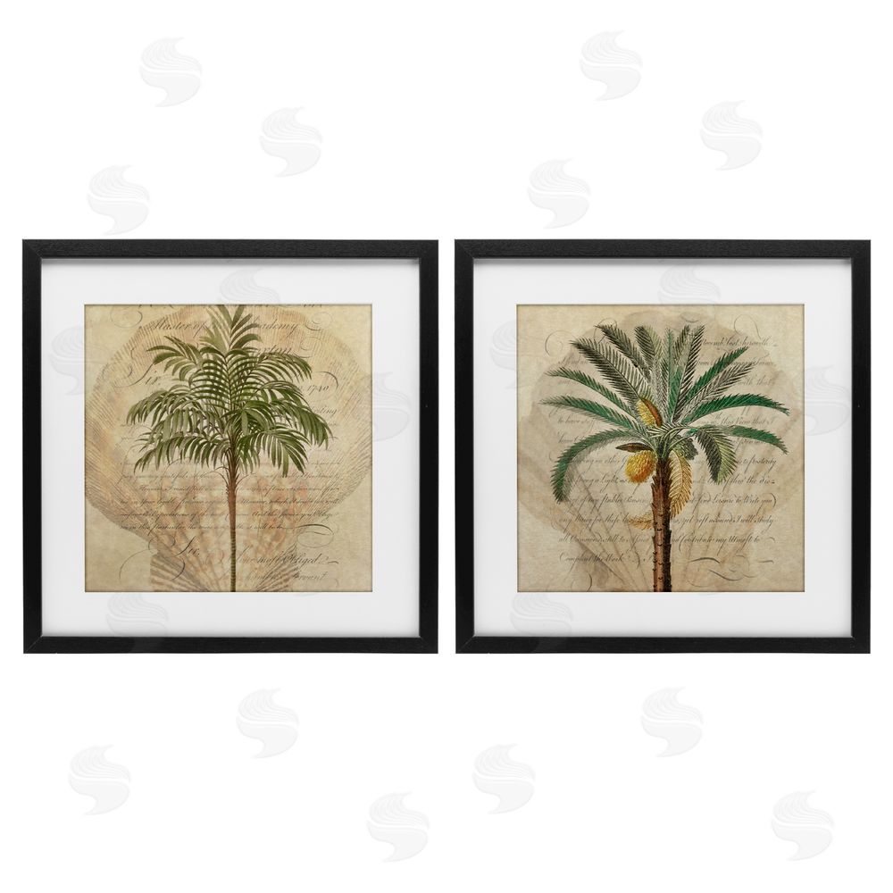 Steve Hunziker Subdued Tropical Palms Black Framed Print Under Glass Wall Art