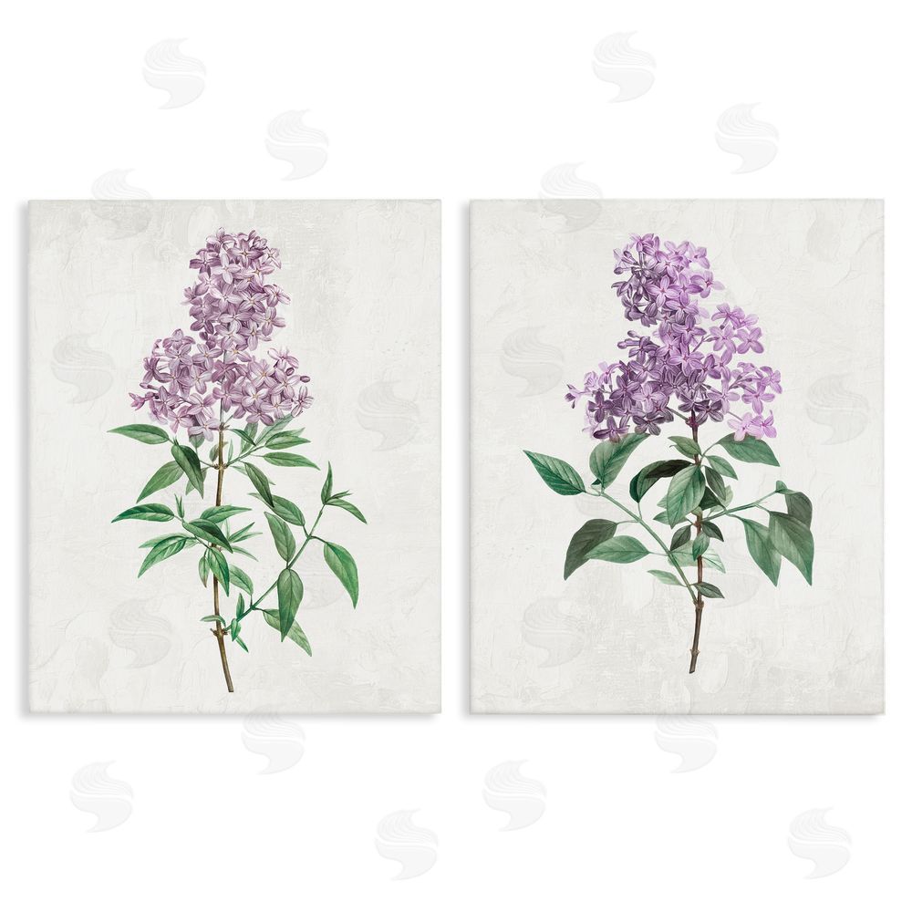 Kim Allen Herbaceous Lilac Blooms Stretched Canvas Wall Art