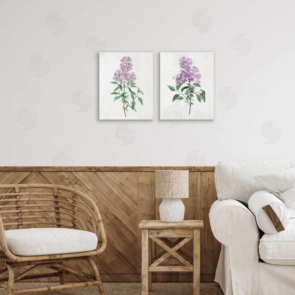 Kim Allen Herbaceous Lilac Blooms Stretched Canvas Wall Art in Room