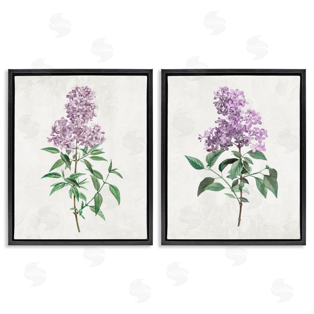 Kim Allen Herbaceous Lilac Blooms Black Floating Frame Canvas Wall Art