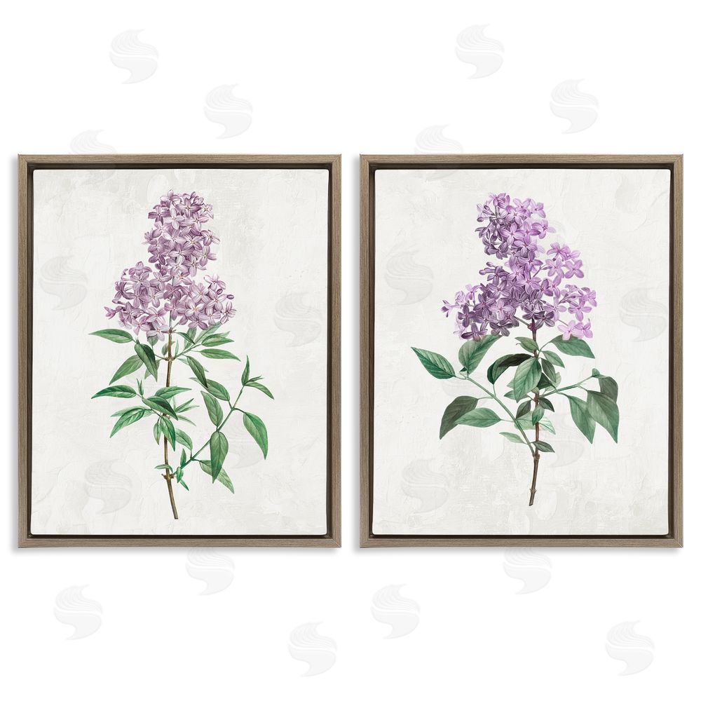 Kim Allen Herbaceous Lilac Blooms Brown Floating Frame Canvas Wall Art