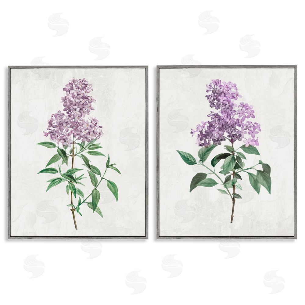 Kim Allen Herbaceous Lilac Blooms Gray Framed Giclee Wall Art Print