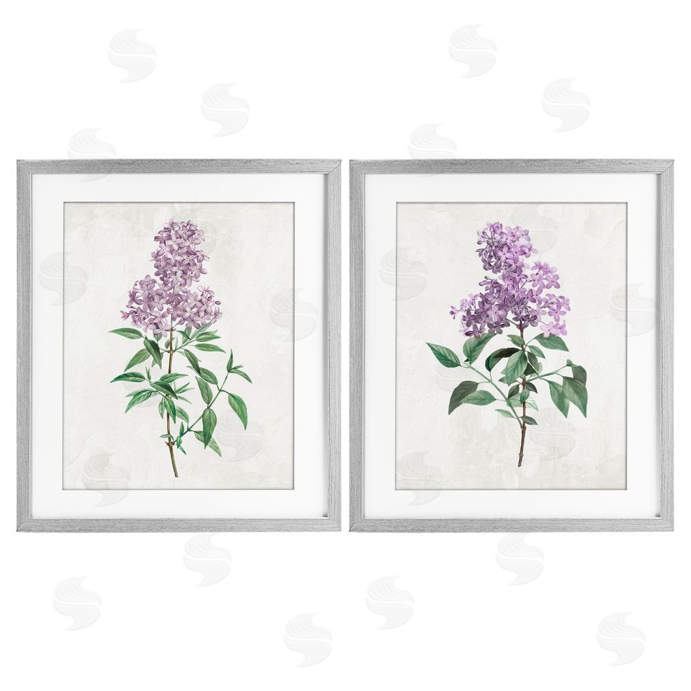 Kim Allen Herbaceous Lilac Blooms Gray Framed Print Under Glass with Mat Wall Art