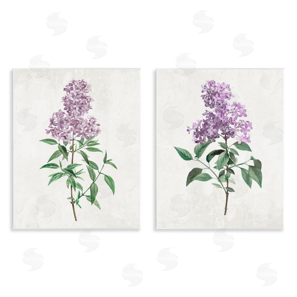 Kim Allen Herbaceous Lilac Blooms Wooden Wall Plaque Art Print