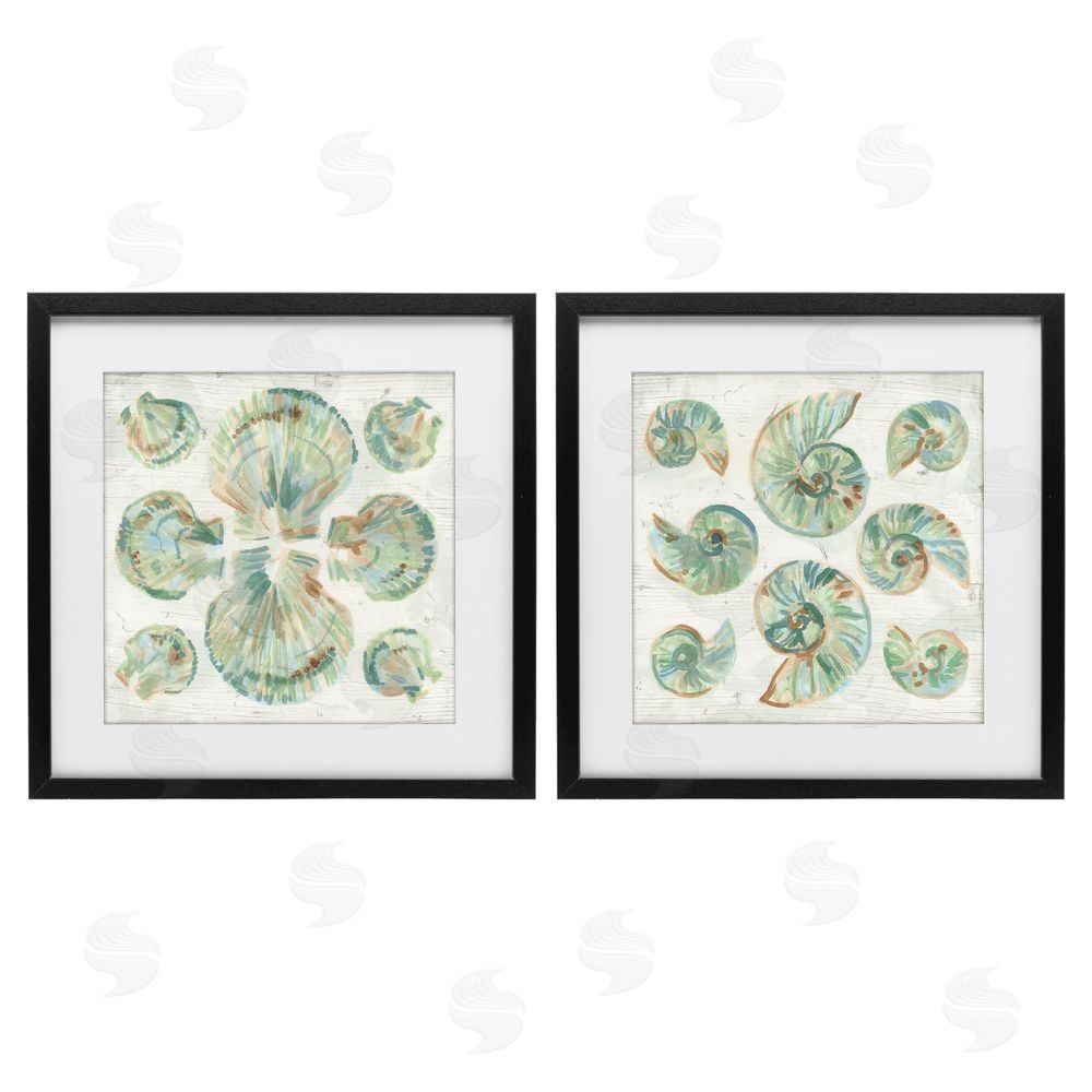 June Erica Vess Saltwashed Seashells Pattern Black Framed Print Under Glass Wall Art