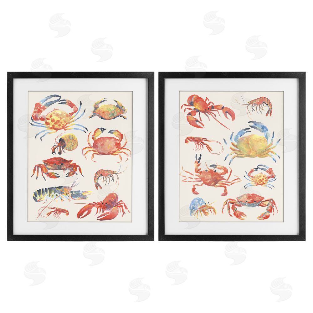 June Erica Vess Aquatic Crustacean Collection Black Framed Print Under Glass Wall Art