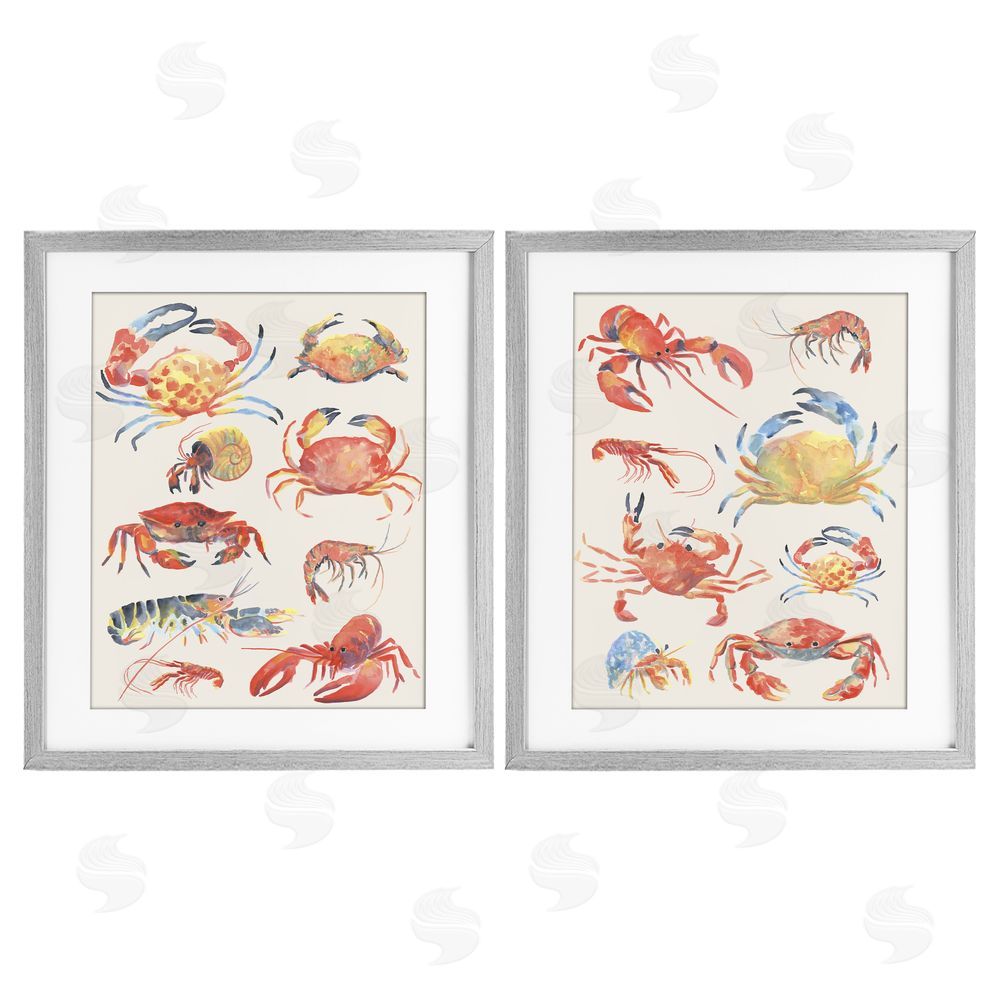 June Erica Vess Aquatic Crustacean Collection Gray Framed Print Under Glass Wall Art