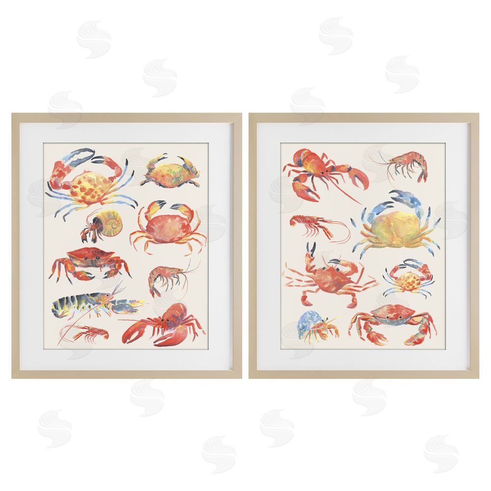 June Erica Vess Aquatic Crustacean Collection Birch Framed Print Under Glass Wall Art