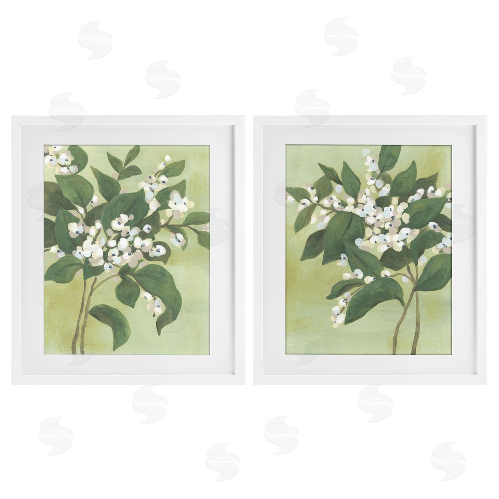 June Erica Vess Verdant Herb Blossoms White Framed Print Under Glass Wall Art