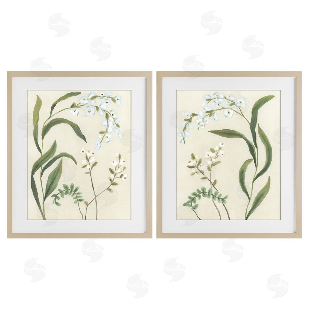June Erica Vess Vintage Snowdrop Stems Brown Framed Print Under Glass Wall Art