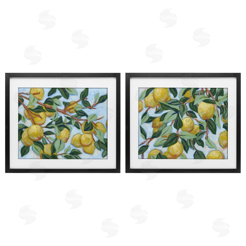 June Erica Vess Sunshine Lemon Tree Black Framed Print Under Glass Wall Art
