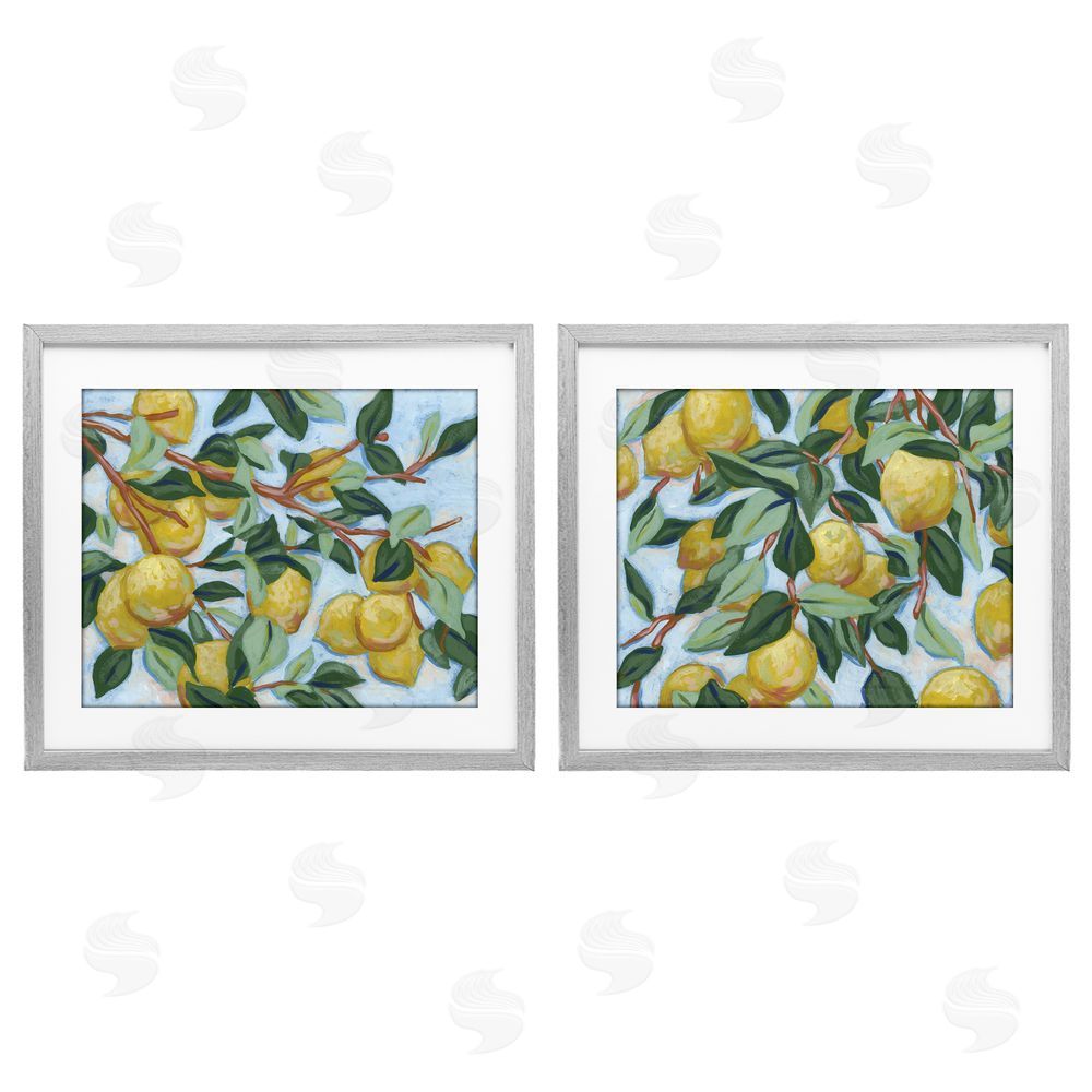 June Erica Vess Sunshine Lemon Tree Gray Framed Print Under Glass Wall Art