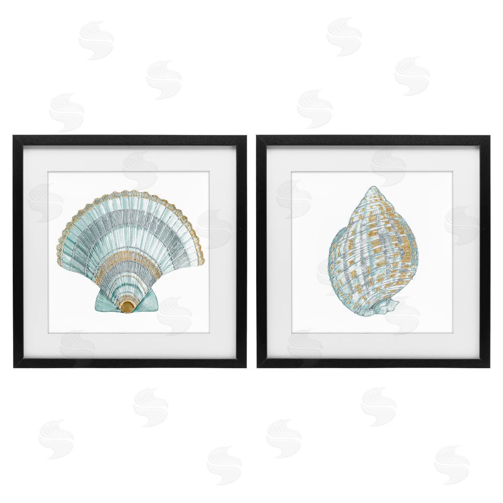 Lorenzo Collective Regal Clam Shell Duo Black Framed Print Under Glass Wall Art
