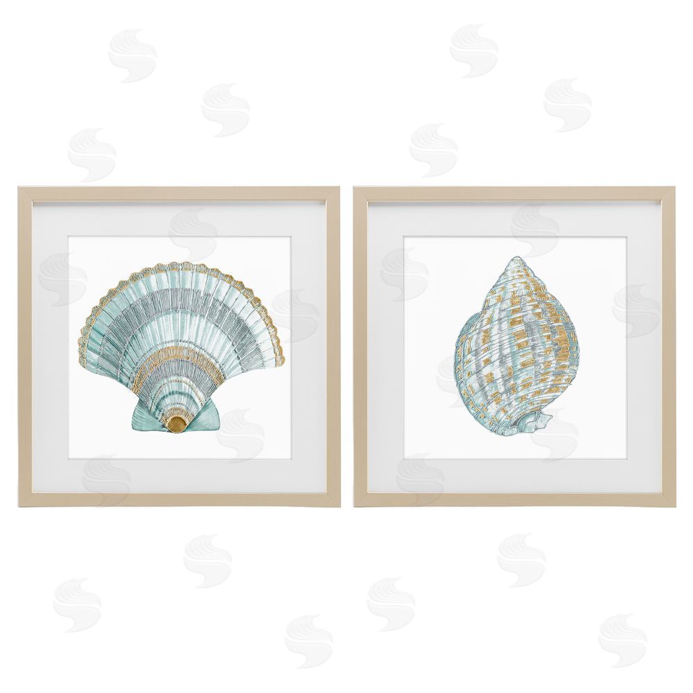 Lorenzo Collective Regal Clam Shell Duo Brown Framed Print Under Glass Wall Art