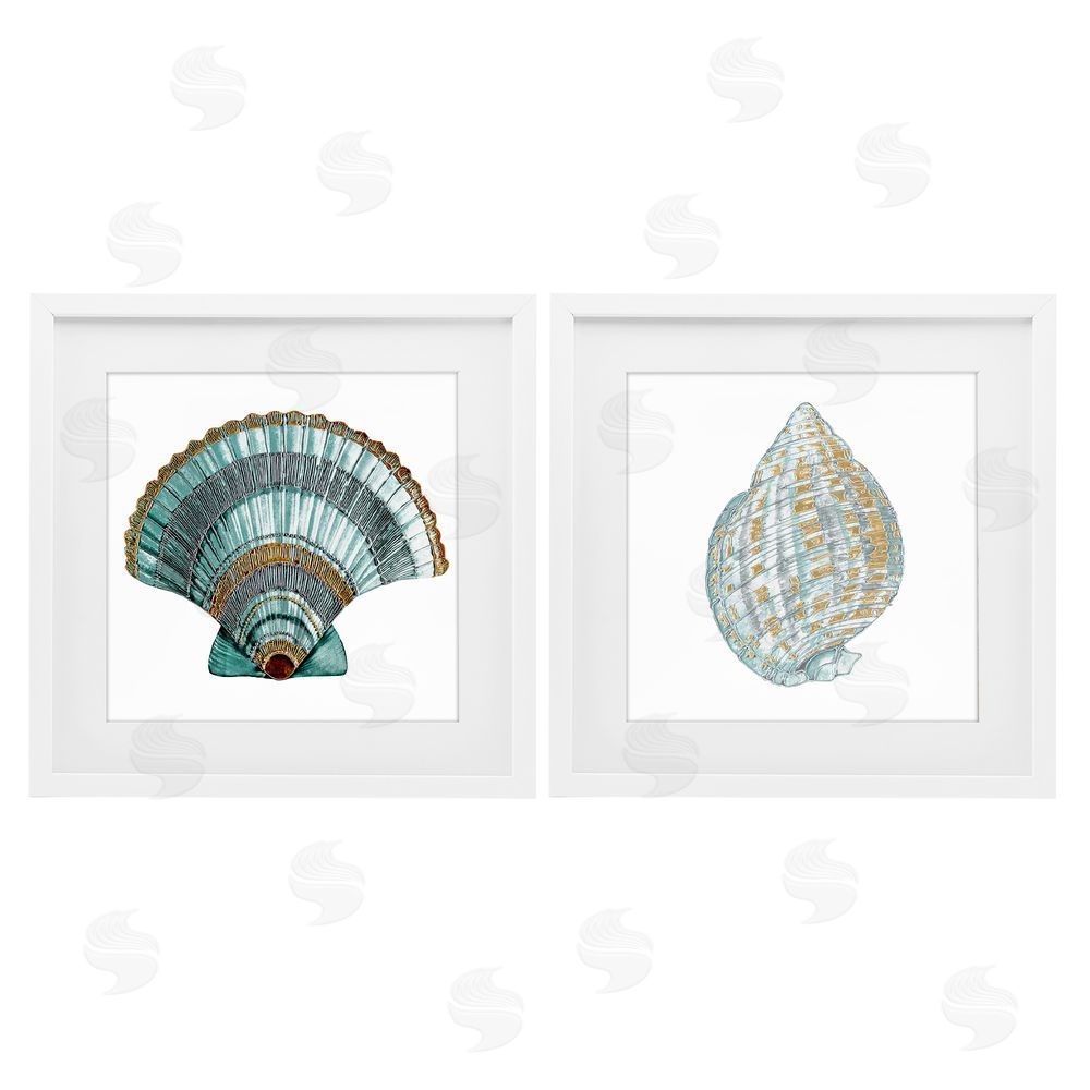 Lorenzo Collective Regal Clam Shell Duo White Framed Print Under Glass Wall Art