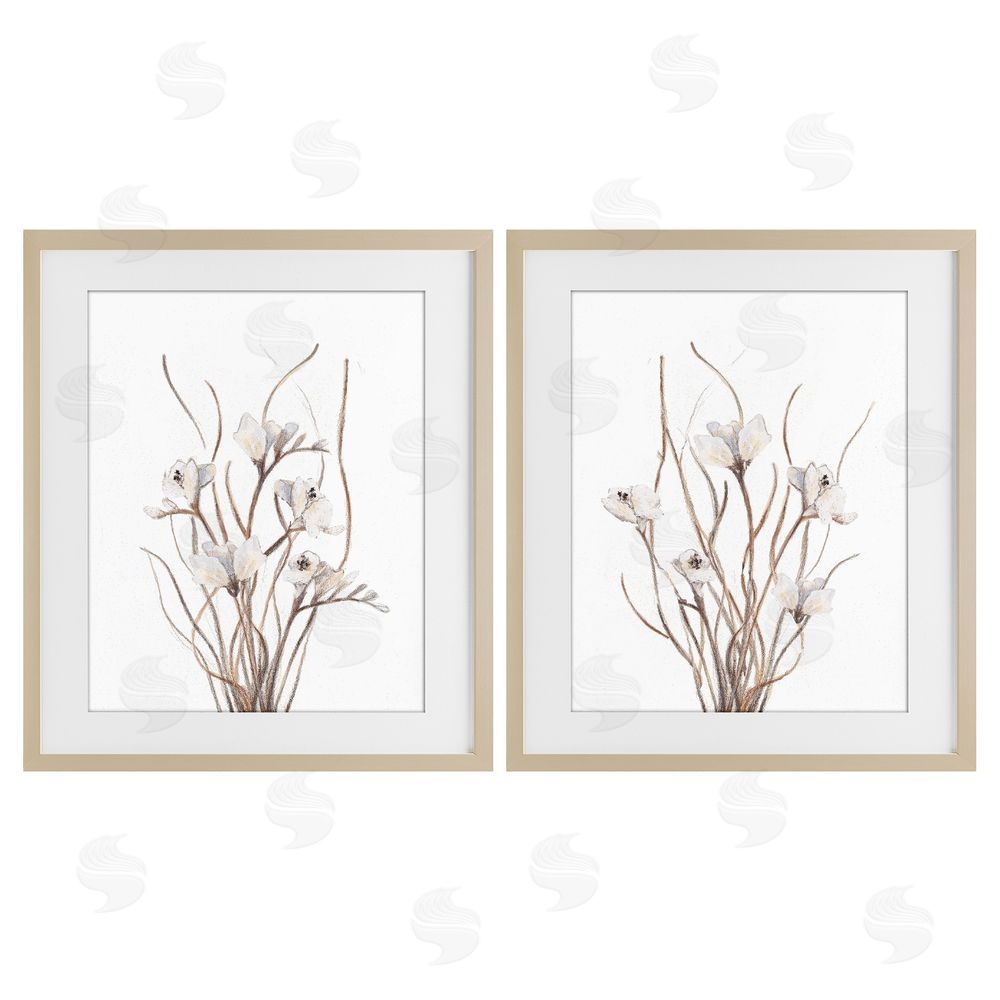 Sundance Graphics Curly Branches Wildflowers Birch Framed Print Under Glass Wall Art