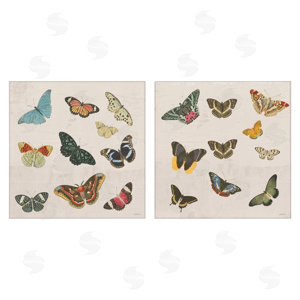 Sundance Graphics Collection of Vintage Butterflies Canvas Wall Art Print