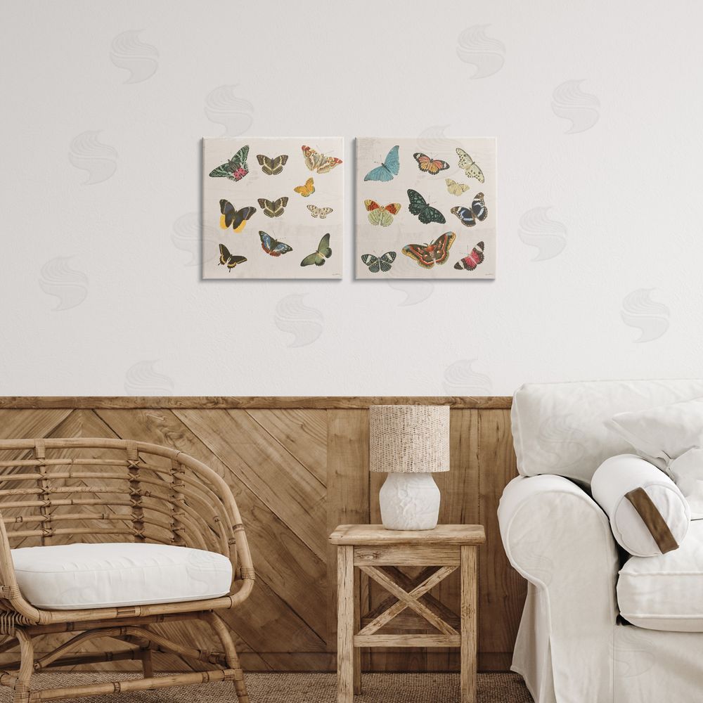 Sundance Graphics Collection of Vintage Butterflies Canvas Wall Art Print in Room