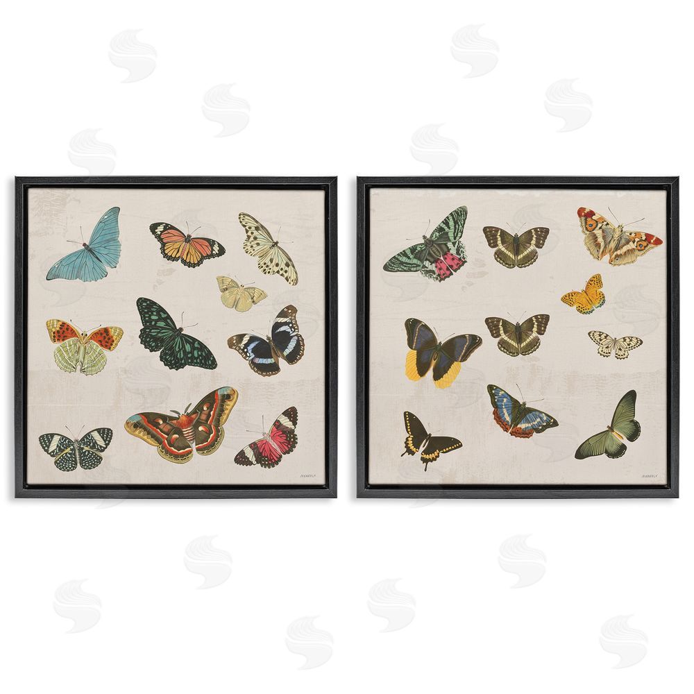 Sundance Graphics Collection of Vintage Butterflies Black Floating Frame Canvas Wall Art Print