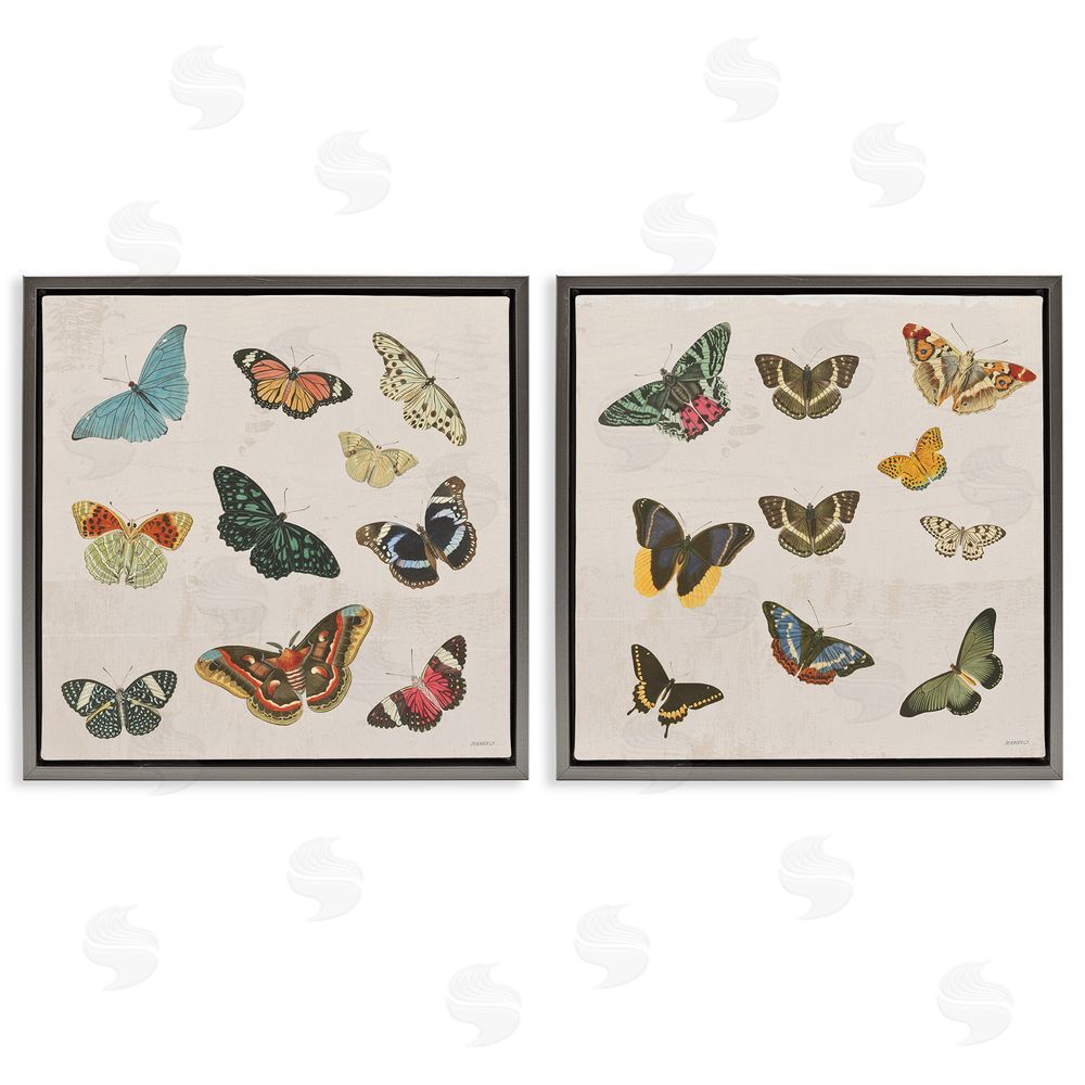 Sundance Graphics Collection of Vintage Butterflies Gray Floating Frame Canvas Wall Art Print