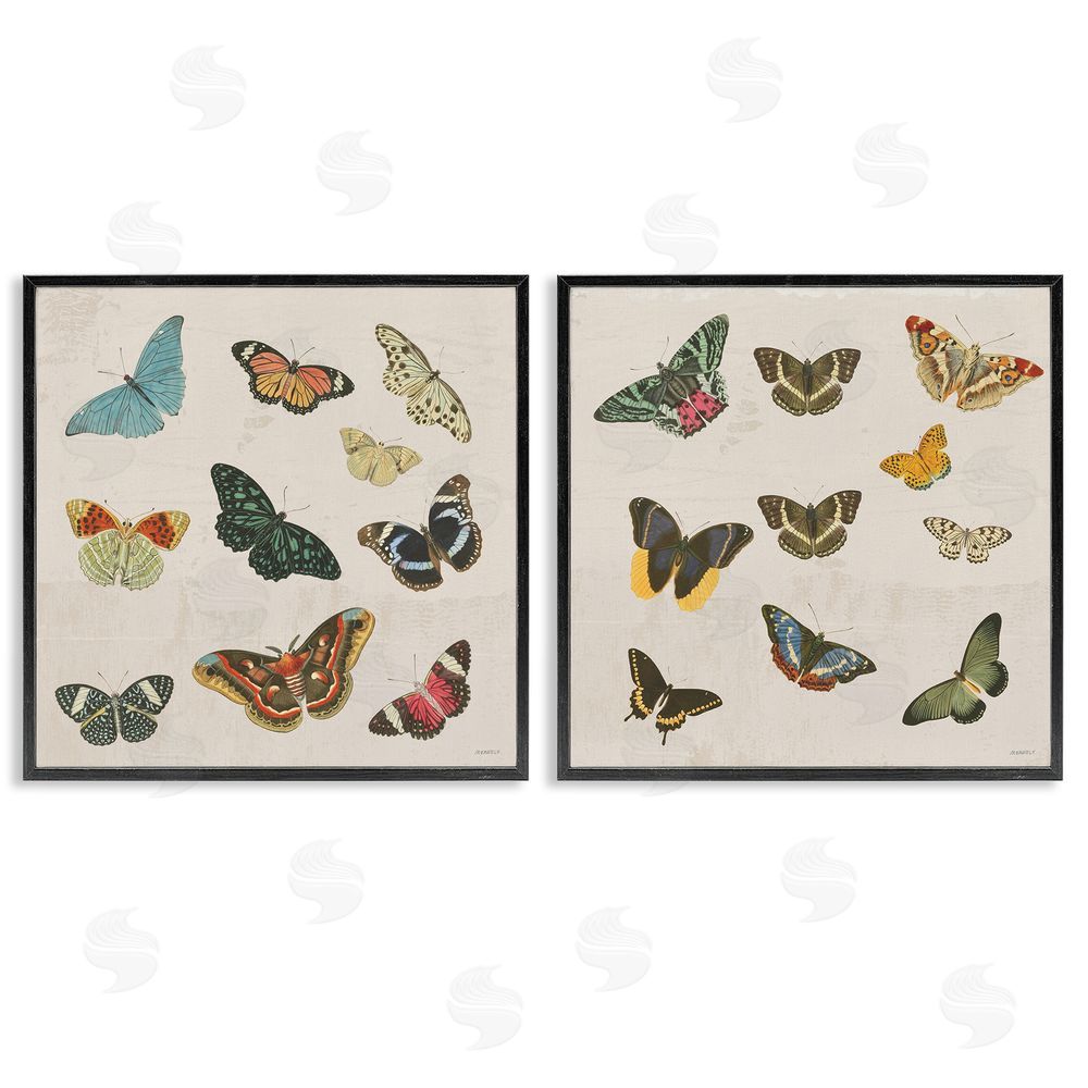 Sundance Graphics Collection of Vintage Butterflies Black Framed Giclee Wall Art Print