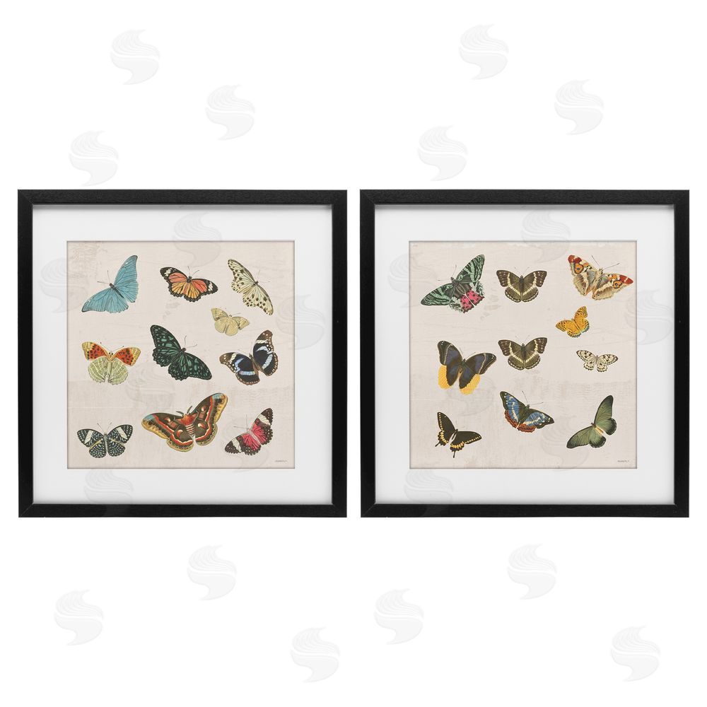 Sundance Graphics Collection of Vintage Butterflies Black Framed Print Under Glass Wall Art
