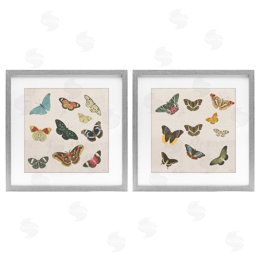 Sundance Graphics Collection of Vintage Butterflies Gray Framed Print Under Glass Wall Art