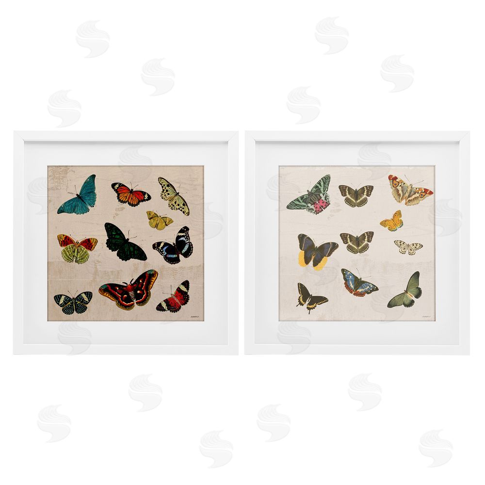 Sundance Graphics Collection of Vintage Butterflies White Framed Print Under Glass Wall Art